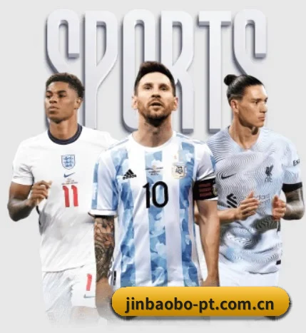 五个功能入口,赛程查询路径更短